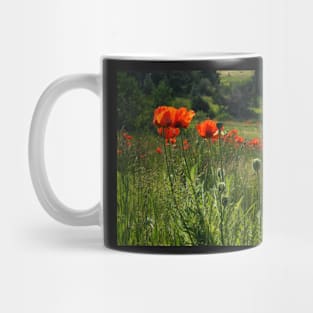 Field with Red Poppies Mug